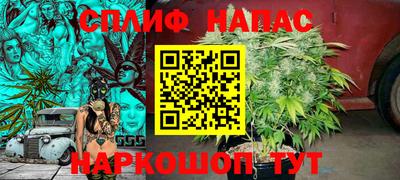 твердый Будённовск